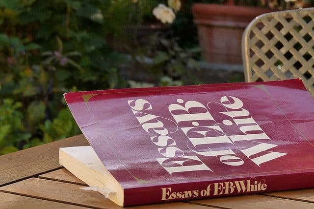 The Timeless Essays of EB White: A Literary Reflection