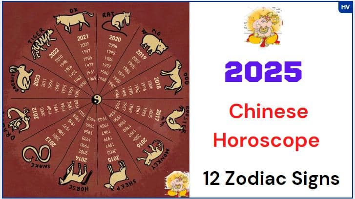 What Animal Represents 2025 – A Look at the Chinese Zodiac Year