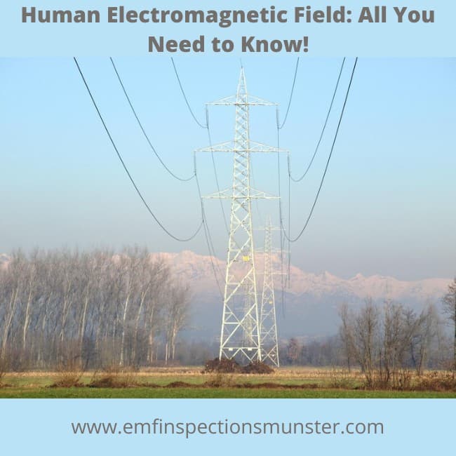 David Lange’s Electromagnetic Shower: What You Need to Know
