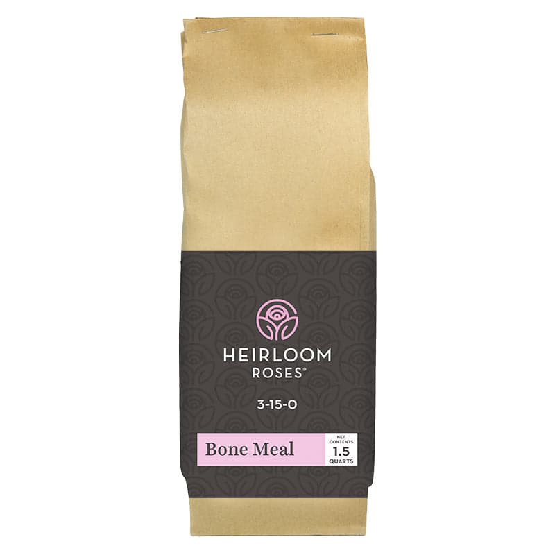 Roses & Bone Meal: The Secret to Healthier Blooms