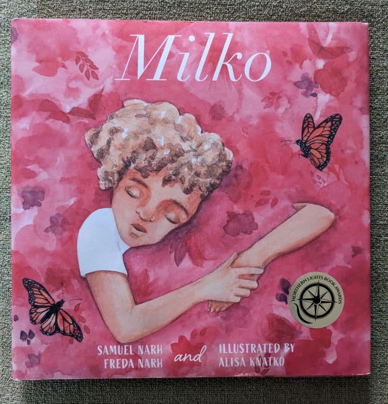 Dream Meaning of Big Spider Chasing Me