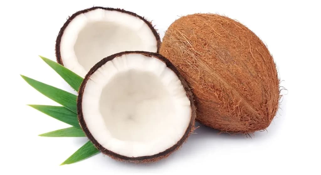 Dream Meaning of Coconut In Hindi