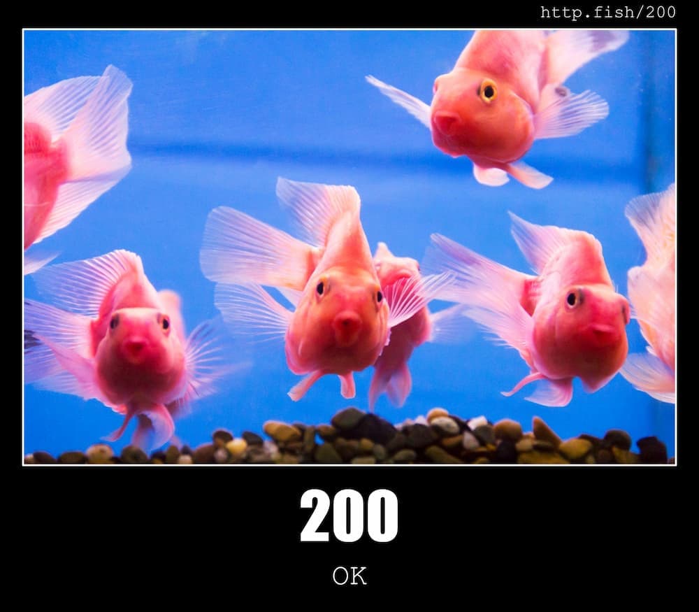 Dream Meaning of 200