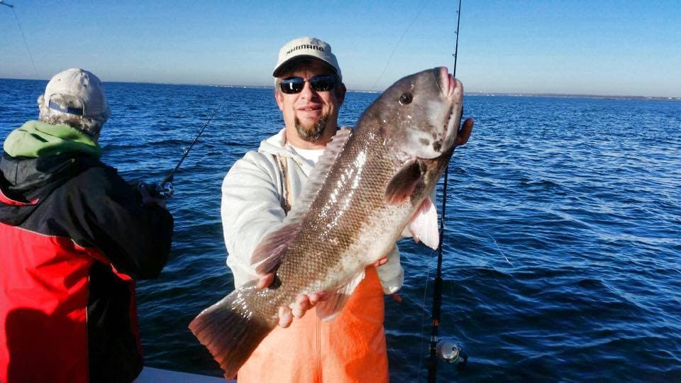 Dream Meaning of Big Black Fish