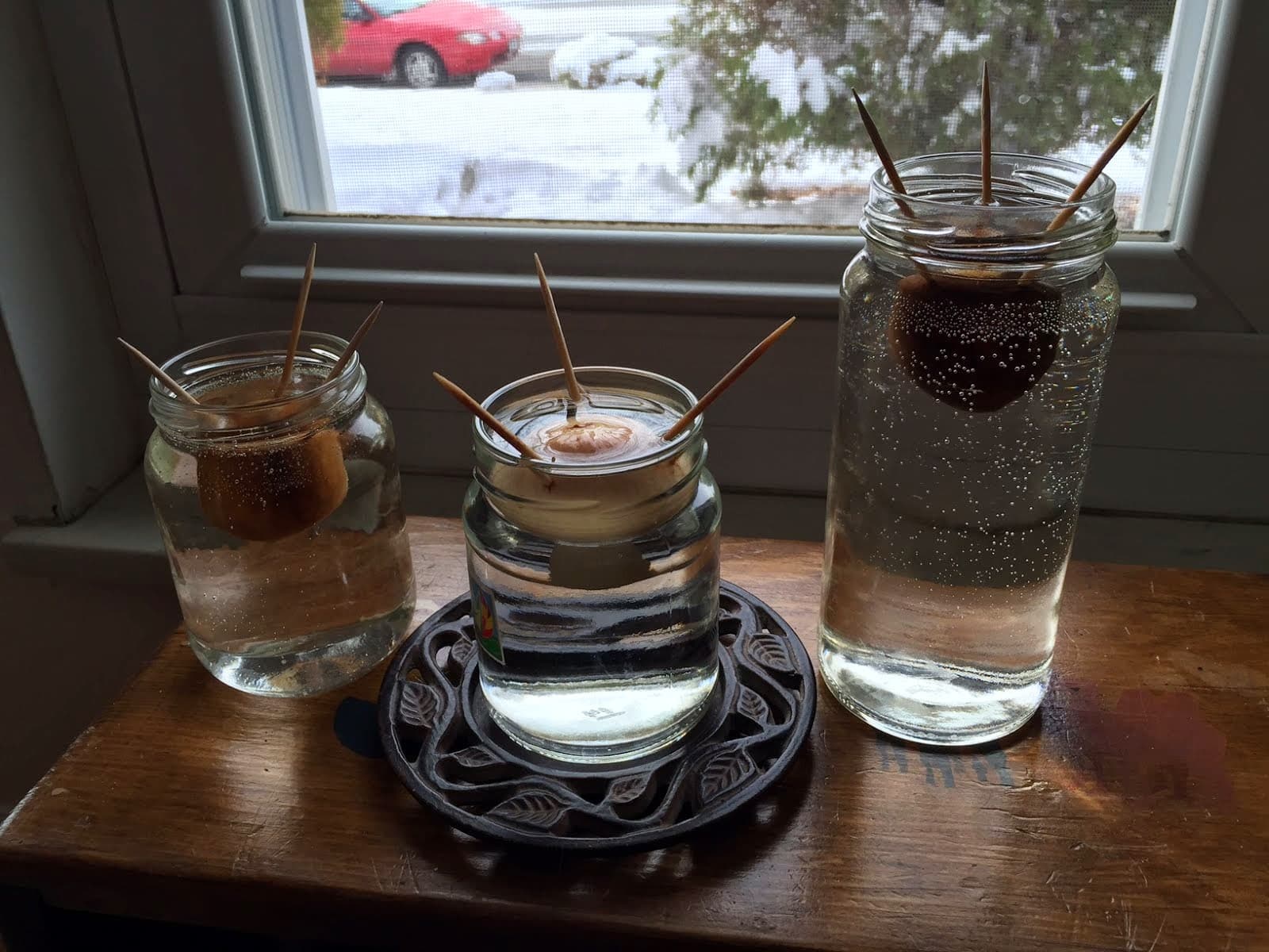 Dream Meaning of Avocado Seed