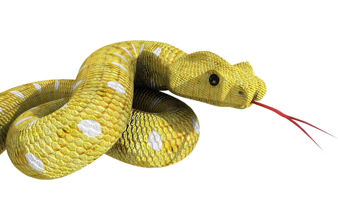 Dream Meaning of A Snake