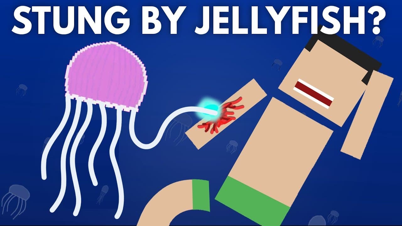 Dream Meaning of Being Stung By A Jellyfish