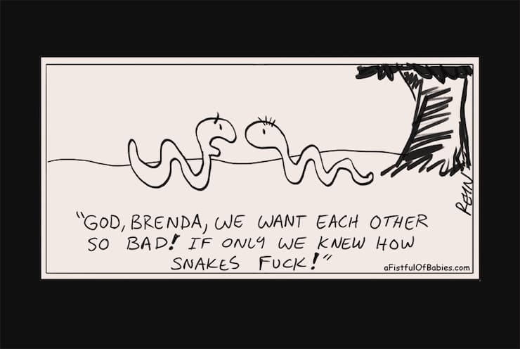 Dream Meaning of 2 snakes