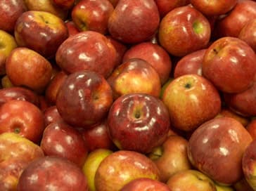 Dream Meaning of Apples