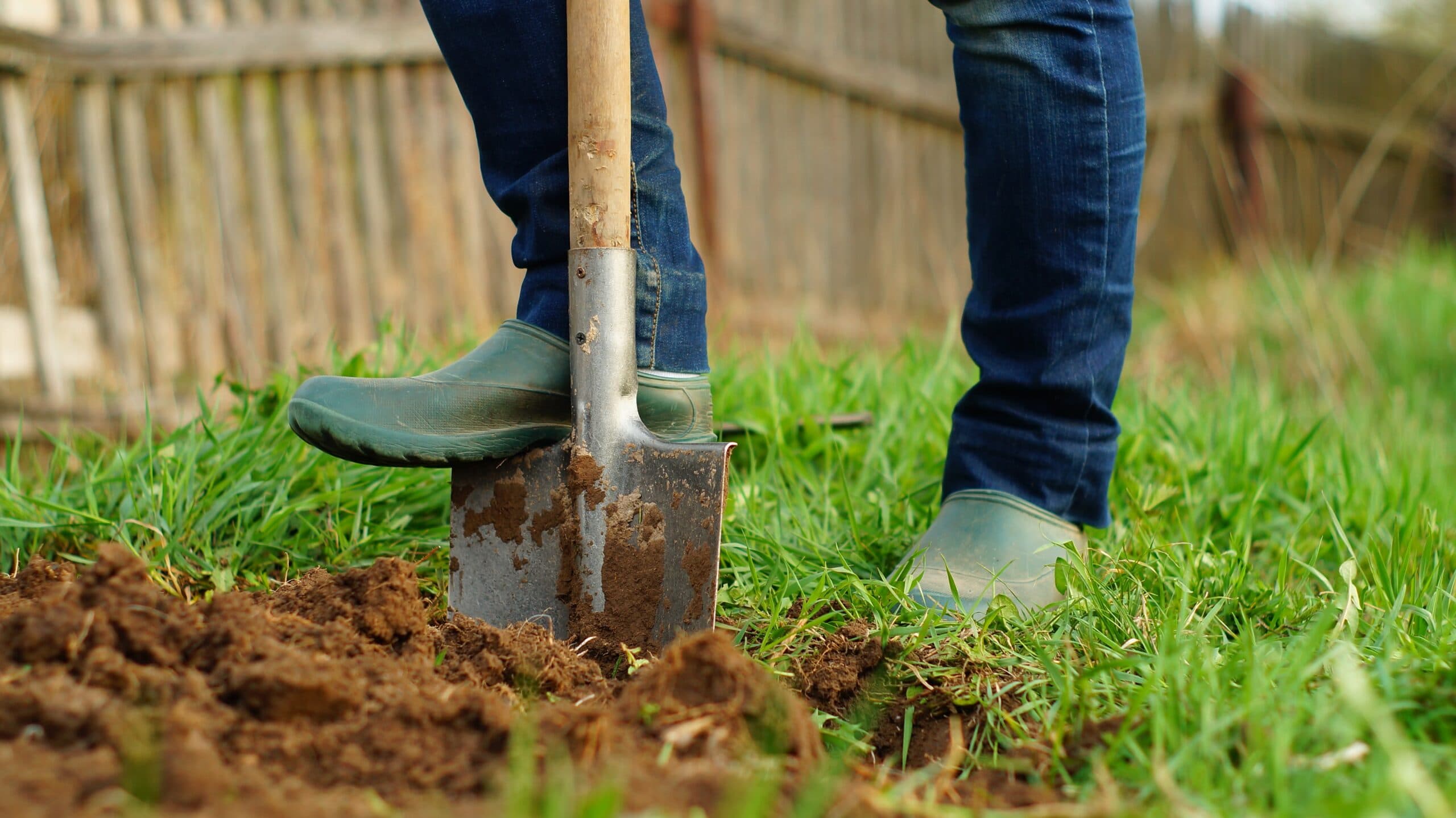 Dream Meaning of Digging The Ground