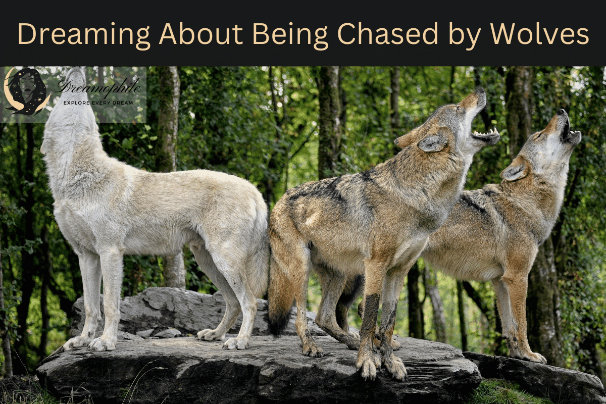 Dream Meaning of Being Chased By Wolves