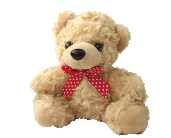 Dream Meaning of A Bear