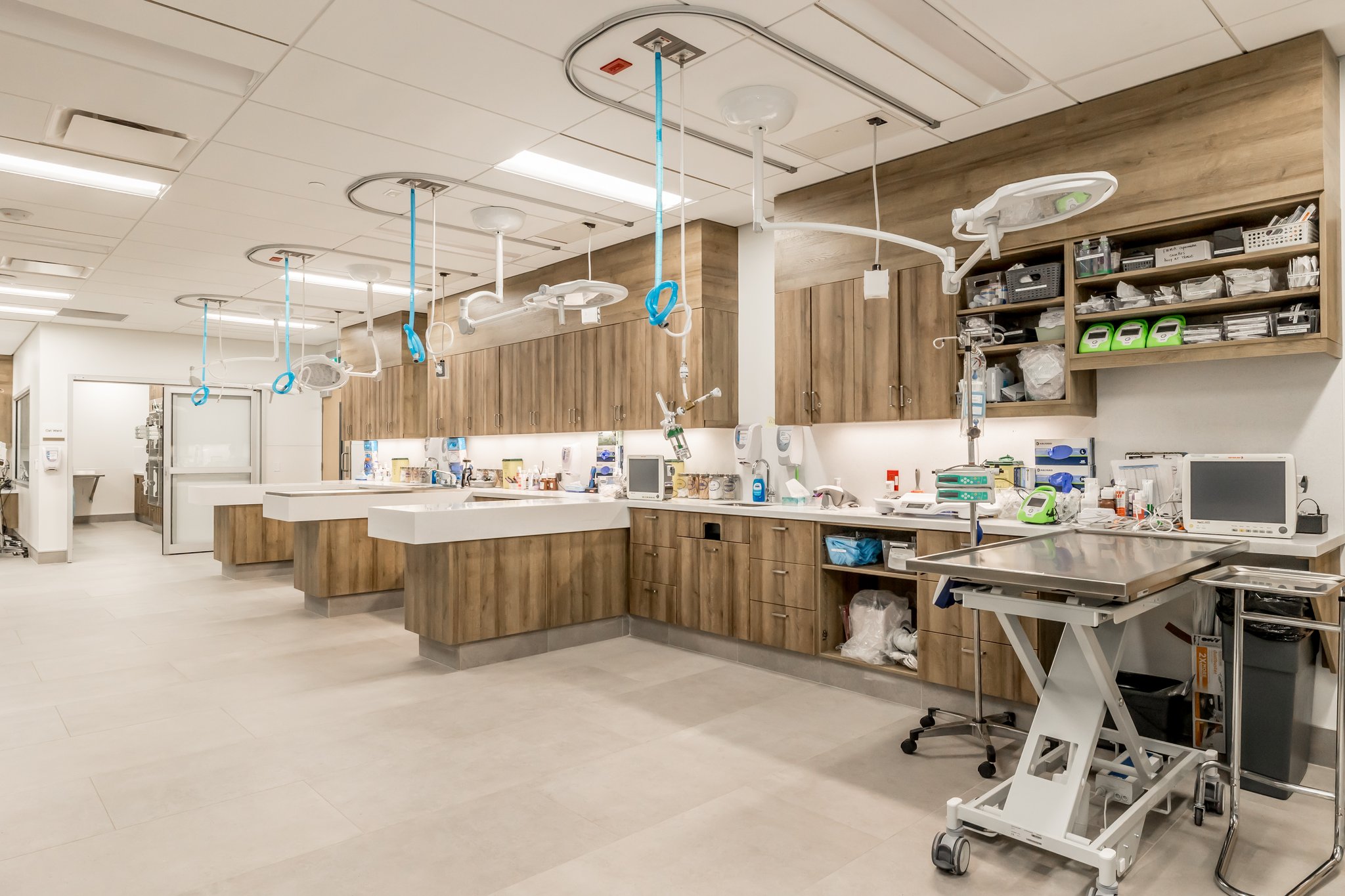 Where Is the Nearest Animal Hospital – A Guide to Pet Emergency Care