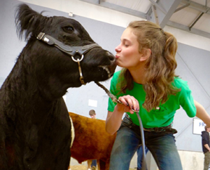 Unraveling the Conflict in Moo by Sharon Creech