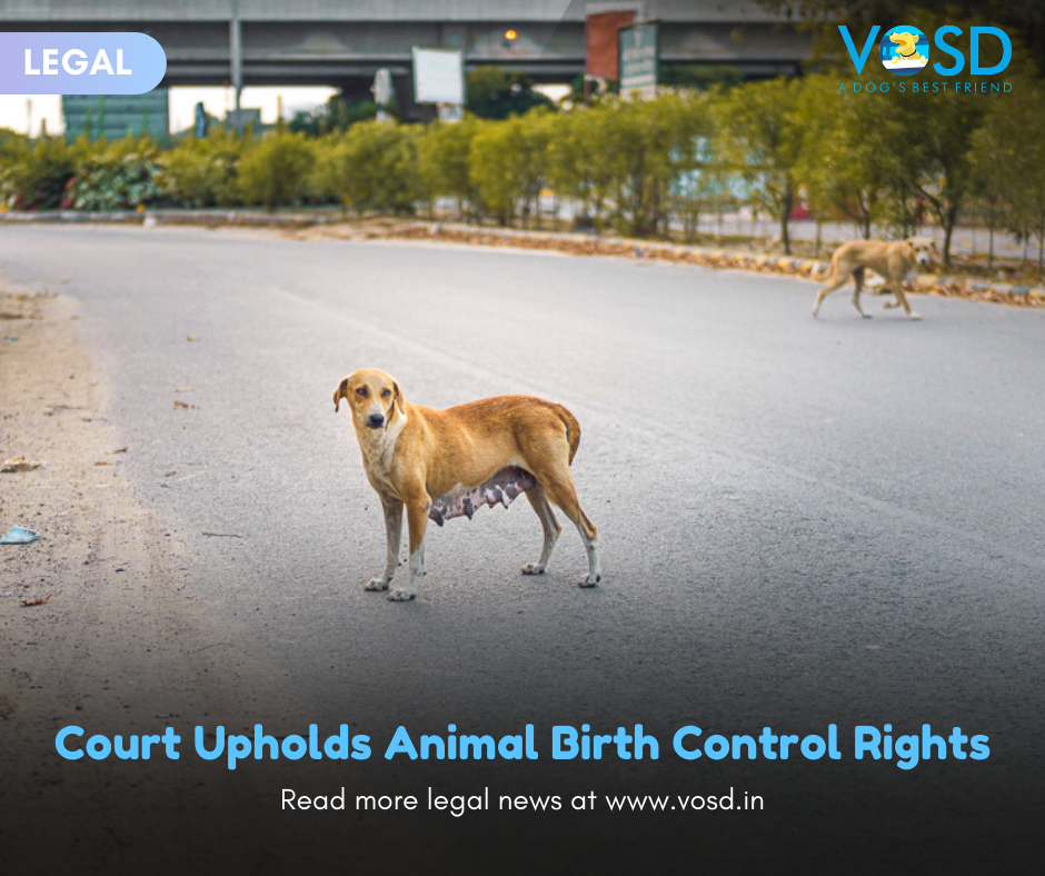 Can Animal Control Enter My Home – Know Your Legal Rights