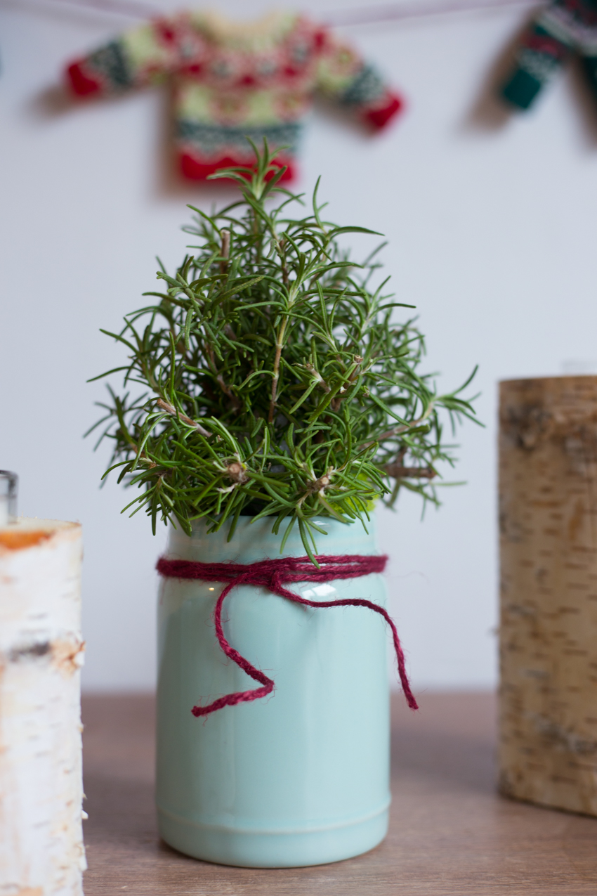 Can You Use Rosemary Bushes as Small Christmas Trees –