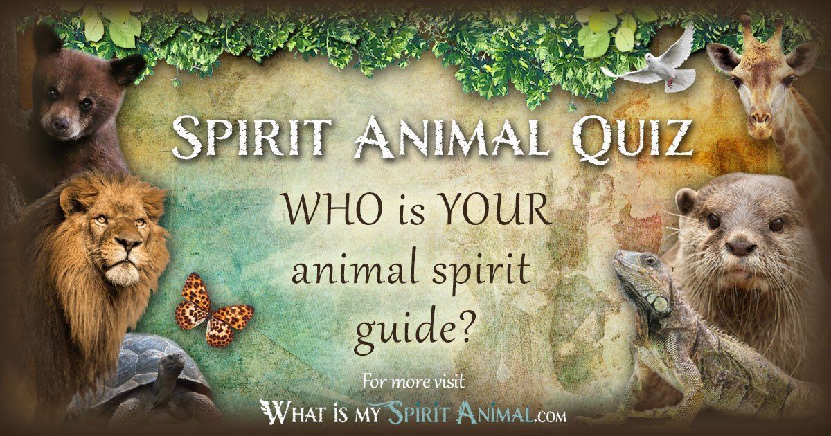 What Animal Am I – A Fun Guide to Finding Your Spirit Animal