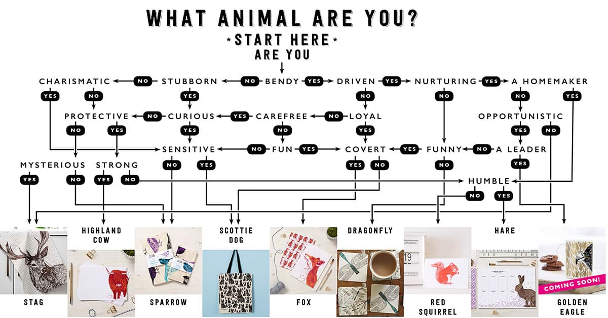 Which Animal Are You – Take This Fun Quiz to Find Out!