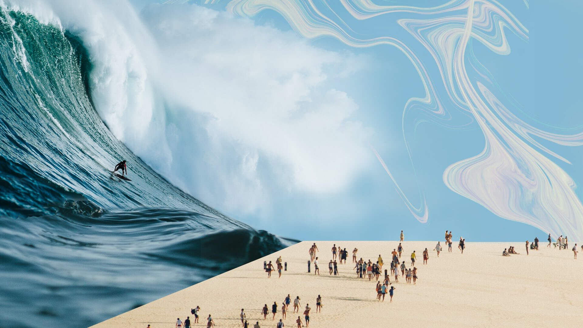 Zooming In: Why Trees Matter More Than You Think