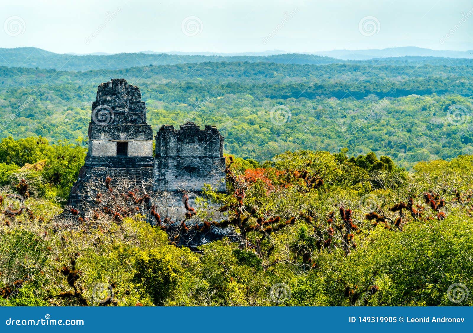 Tikal Tours from Guatemala City: Journey to the Mayan World