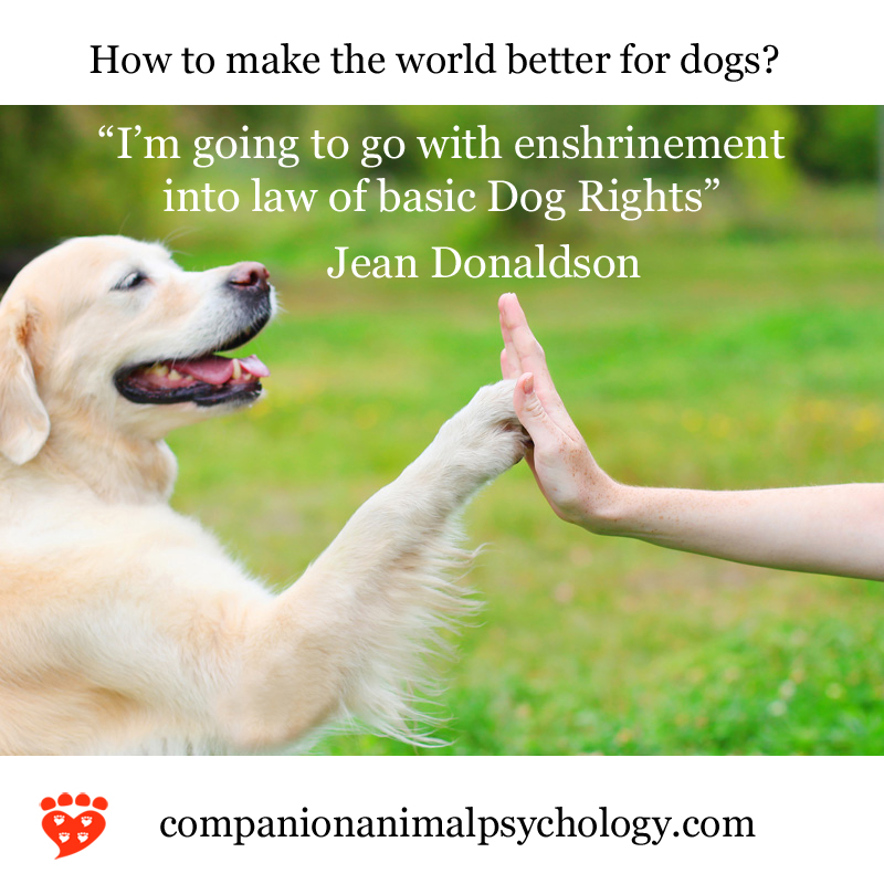 Can Animal Control Take My Dog – Understanding Your Rights