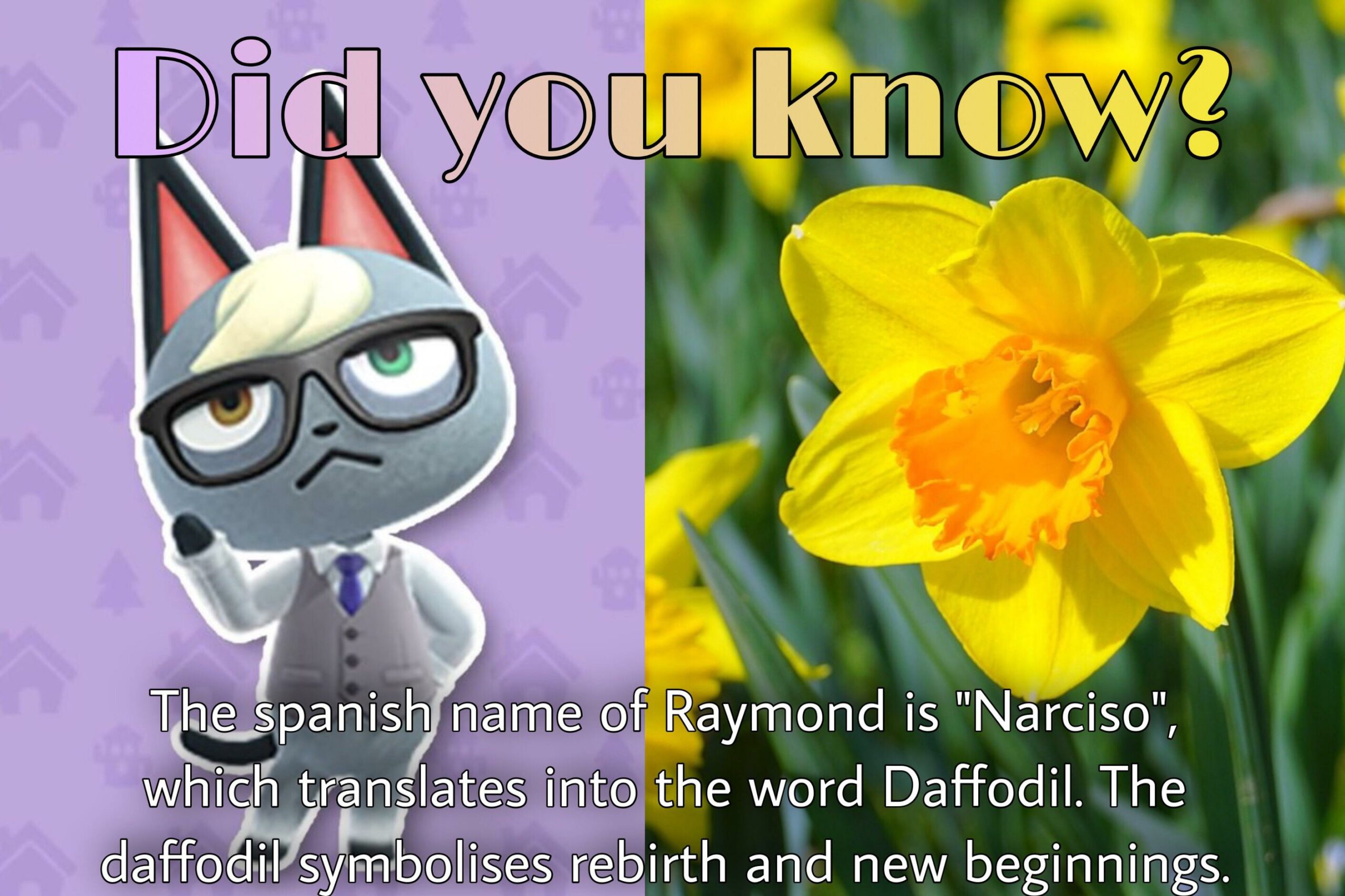 Can Animal Crossing Read to You – Surprising Features You Didn’t Know