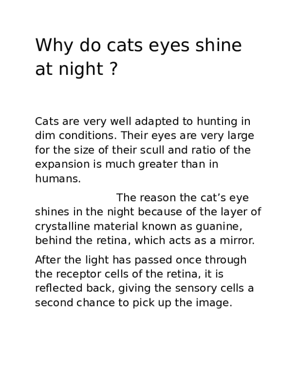 Why Do Animal Eyes Glow at Night – The Science Behind the Shine