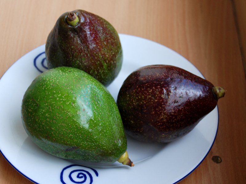Dream Meaning of Avocado Fruits