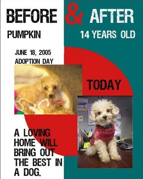 Dream Meaning of Big Gash Across Chest