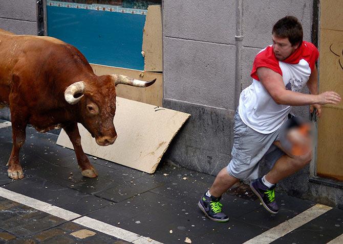 Dream Meaning of Bull Chasing You