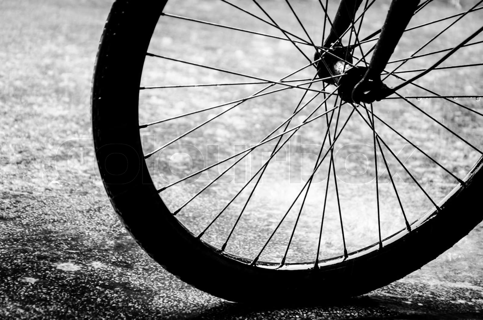 Dream Meaning of Bicycle Wheel