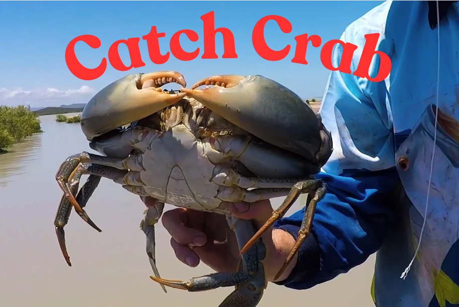 Dream Meaning of Catching Crabs