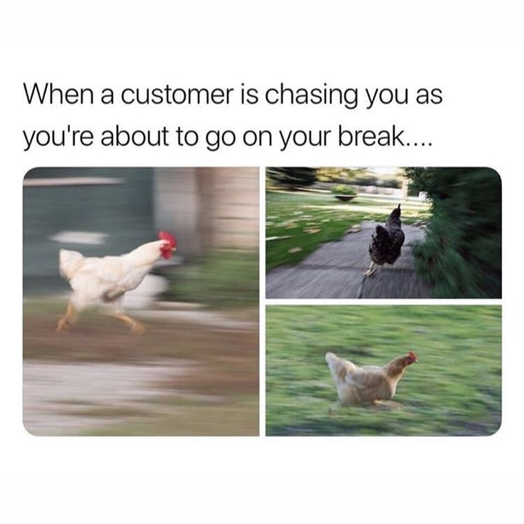 Dream Meaning of Chicken Chasing You