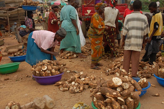 Dream Meaning of Buying Cassava
