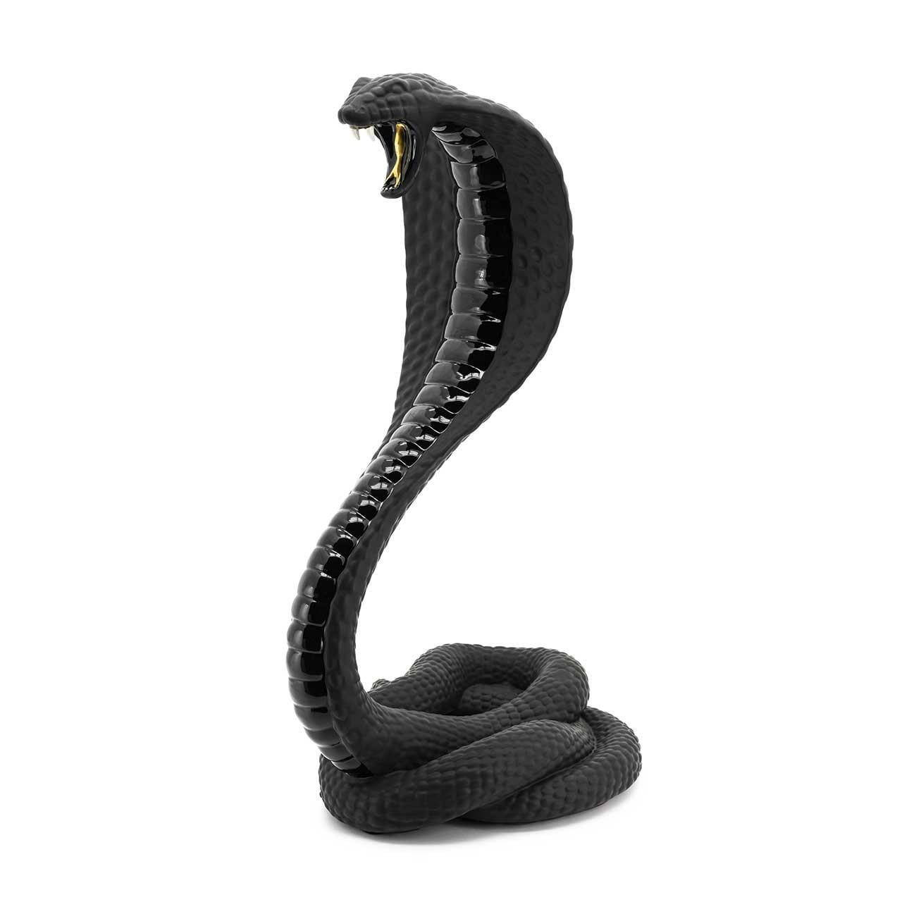 Dream Meaning of A Black Cobra With Red Hourglass