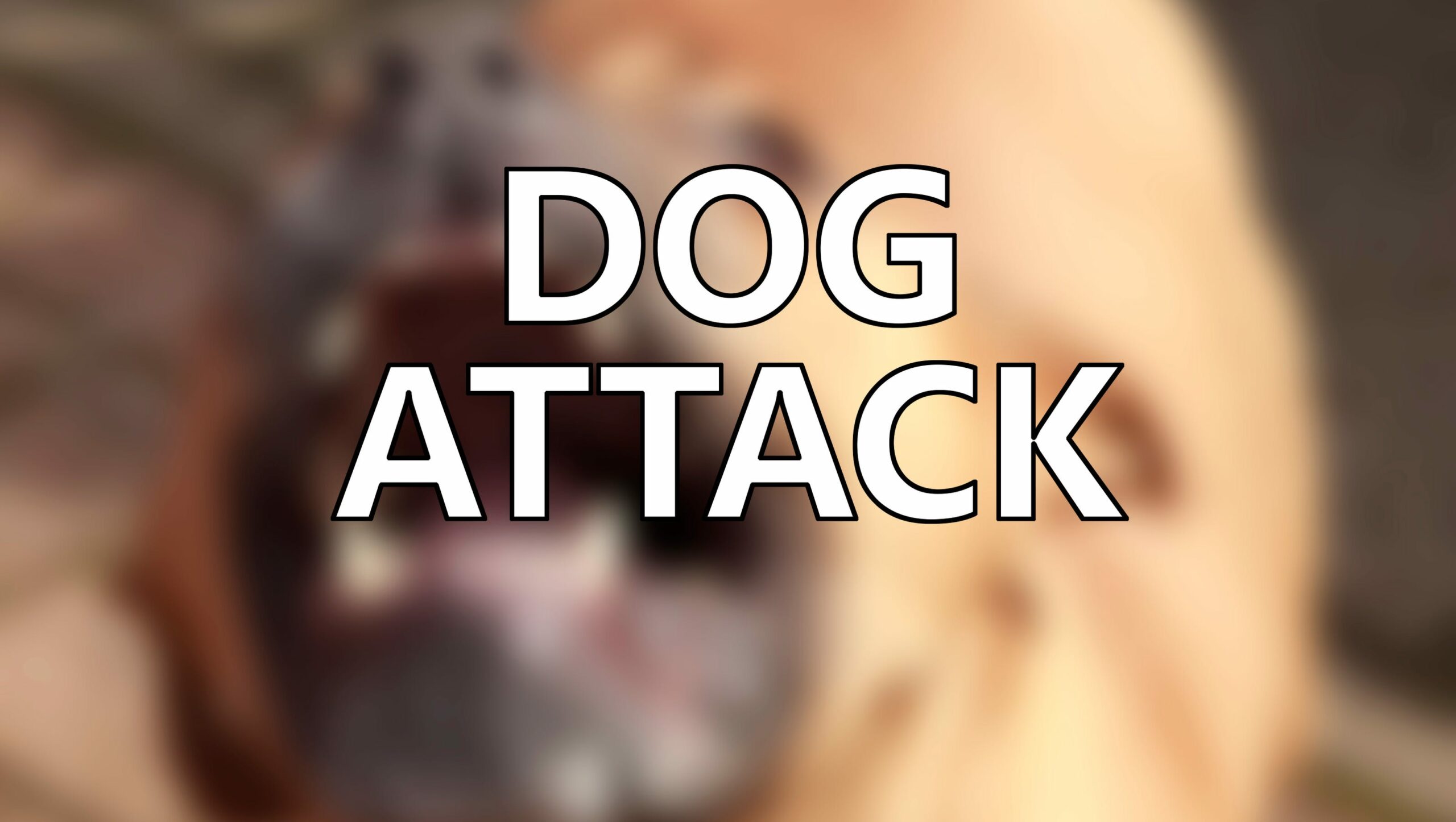 Dream Meaning of A Dog Attacking Me