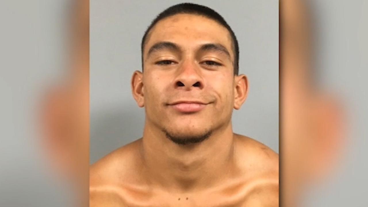 Dream Meaning of Beheaded Dog