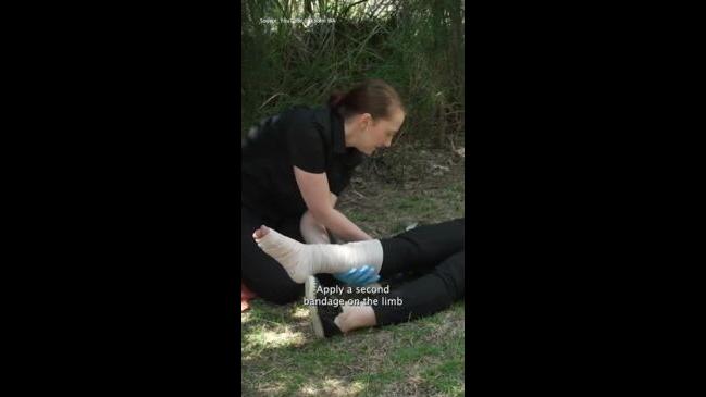 Dream Meaning of Bitten By Snake