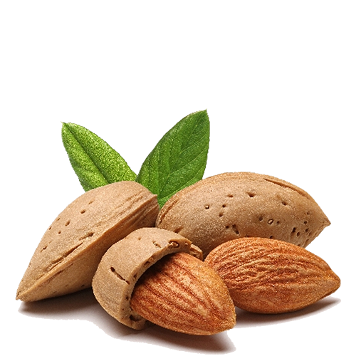 Dream Meaning of Almond Fruit