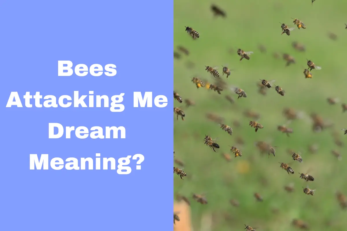 Dream Meaning of Bees Attacking Me