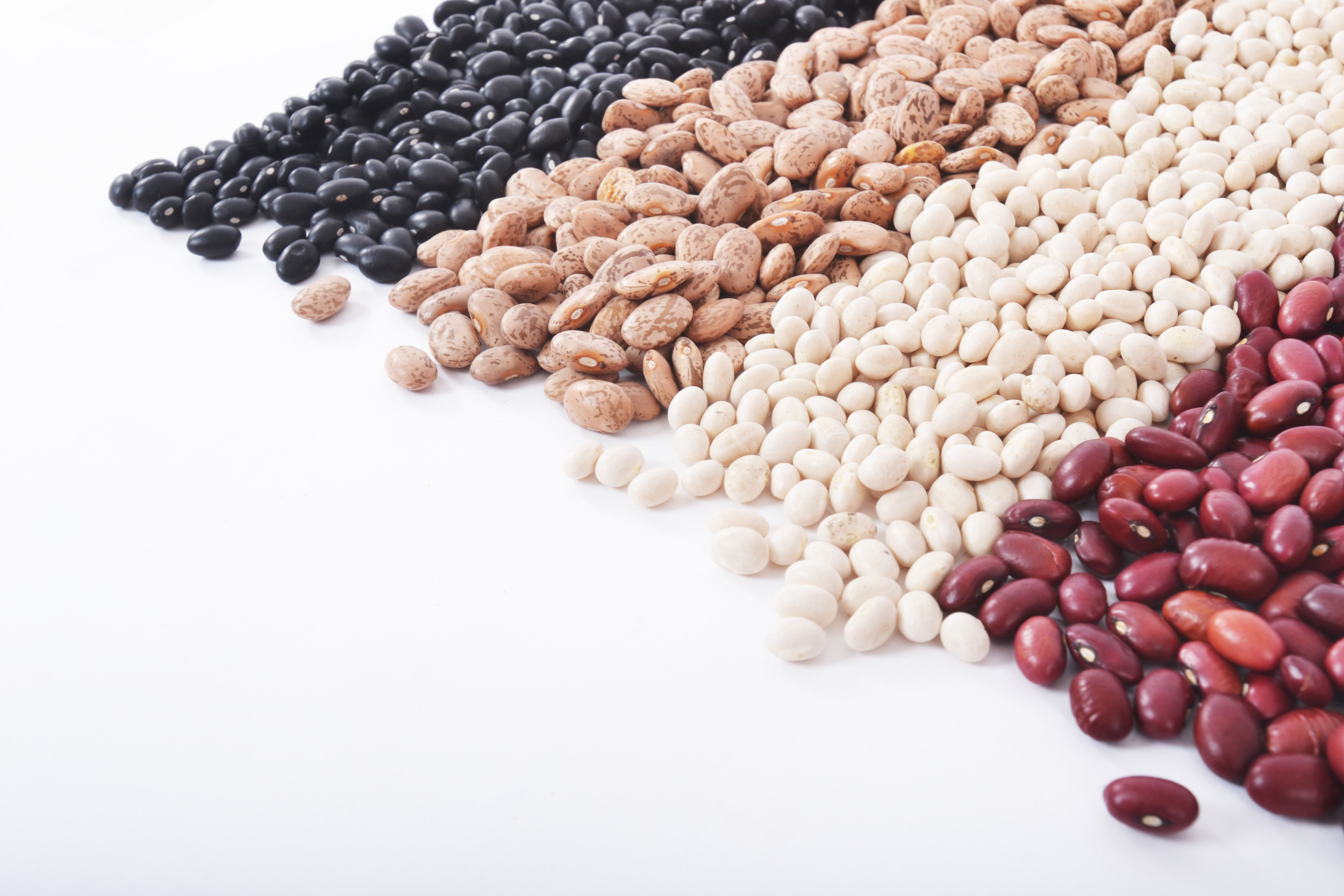 Dream Meaning of Beans