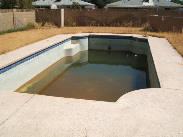 Dream Meaning of Dirty Swimming Pool