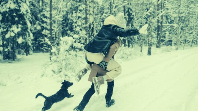 Dream Meaning of Being Chased By Wild Animals