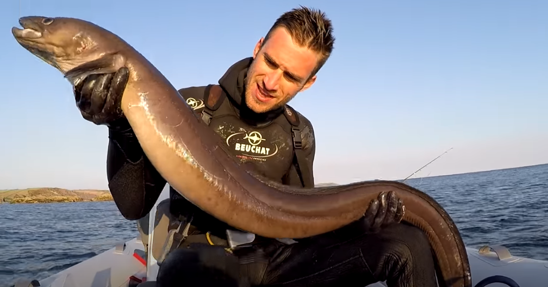 Dream Meaning of Catching Eel