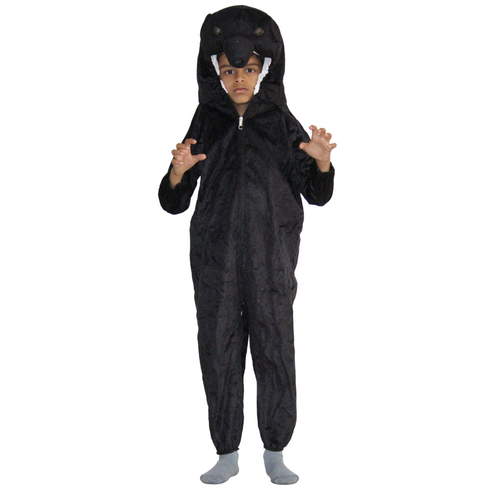 Dream Meaning of Bear Costume