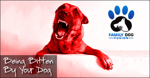 Dream Meaning of Being Bitten By A Dog