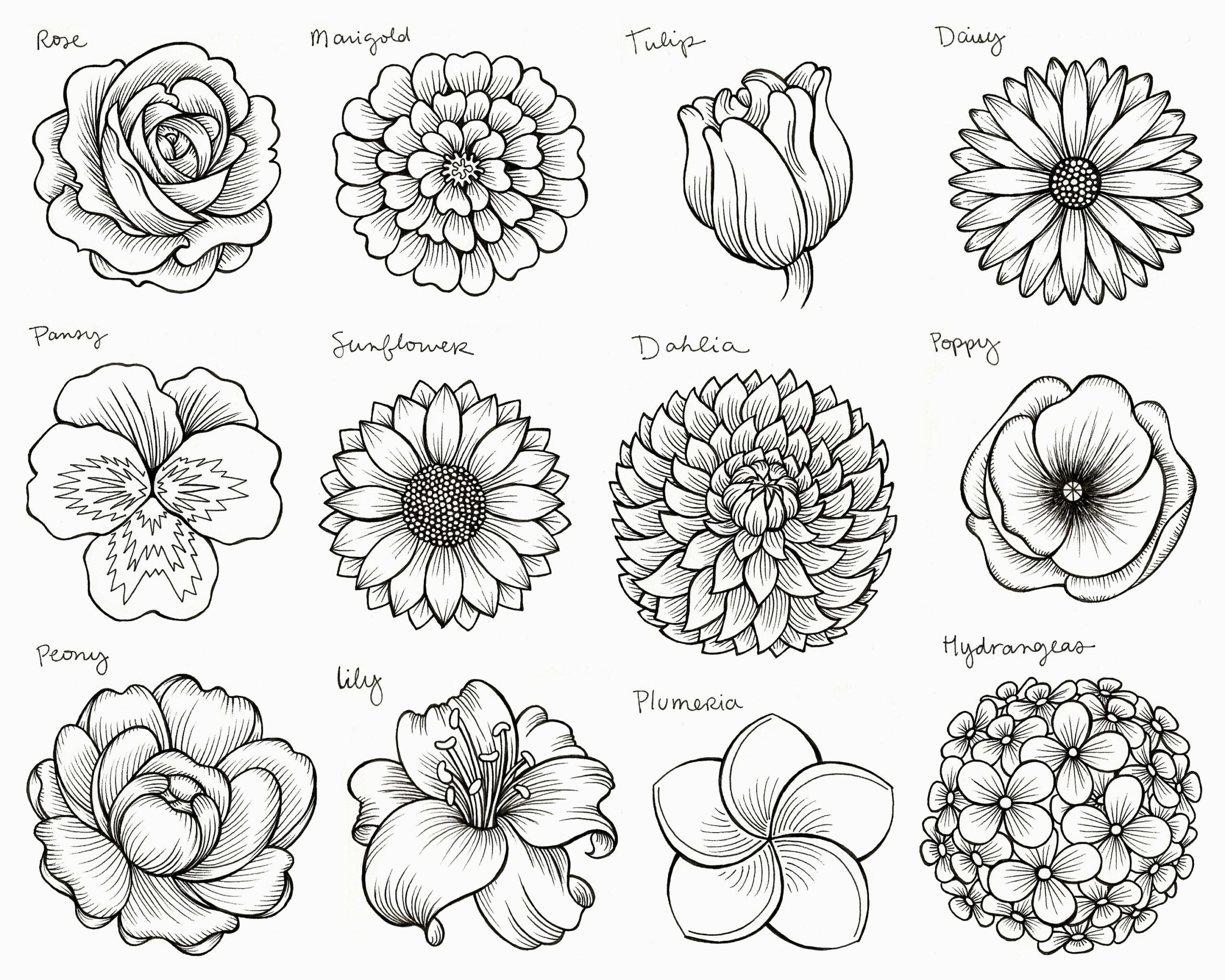 Dream Meaning of Drawing Flowers