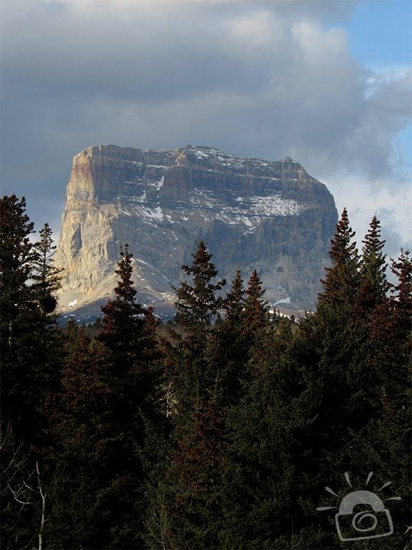 Dream Meaning of Being Surrounded By Trees