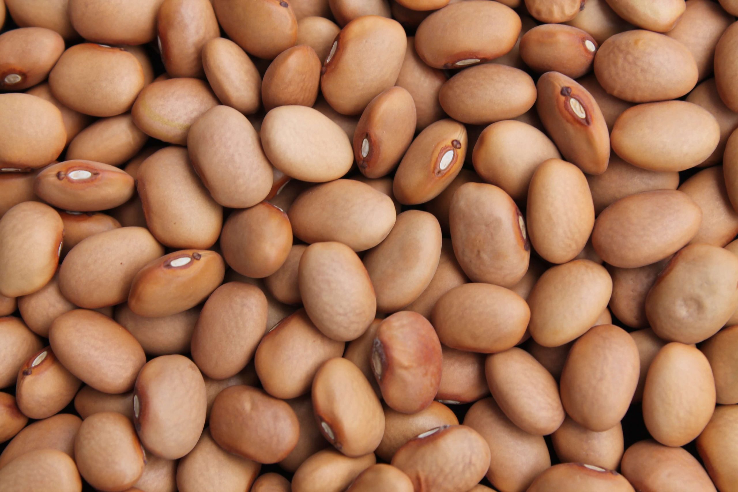 Dream Meaning of Brown Beans