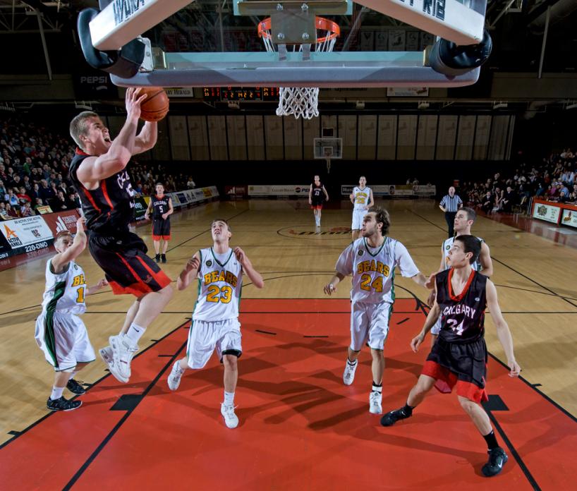 Dream Meaning of Basket